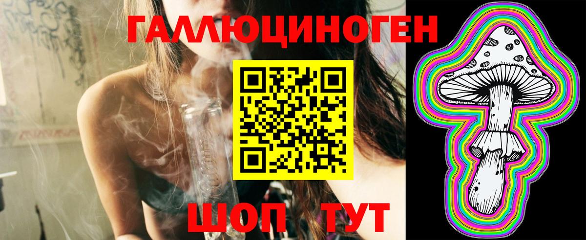 Галлюциногенные грибы Psilocybine cubensis  Галлюциногенные грибы мицелий  Отрадный  Вход с VPN 